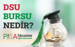 DSU Bursu Nedir?