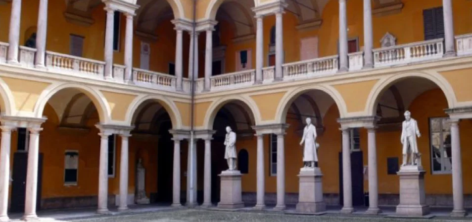 pavia ileri arastirmalar enstitusu universitesi